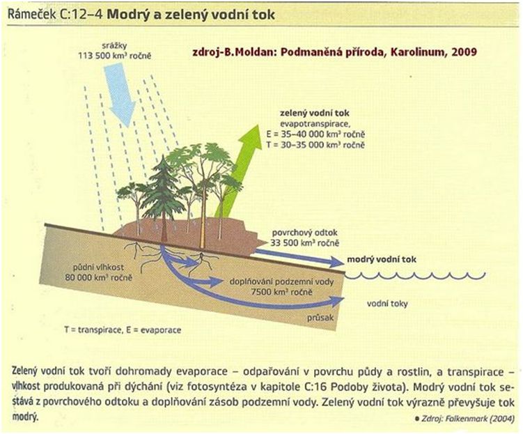 Hydrologické funkce půdy-03.jpg