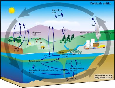 Život na zemi je založen na uhlíku-02.jpg
